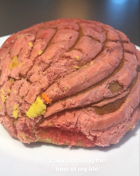 Pink concha- Mexican sweet bread